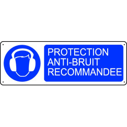 Protection Anti-Bruit Recommandée