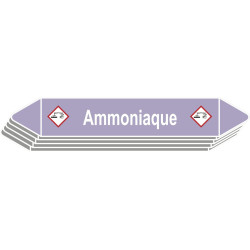 5 Etiquettes de tuyauterie Acide/Base "Ammoniaque"